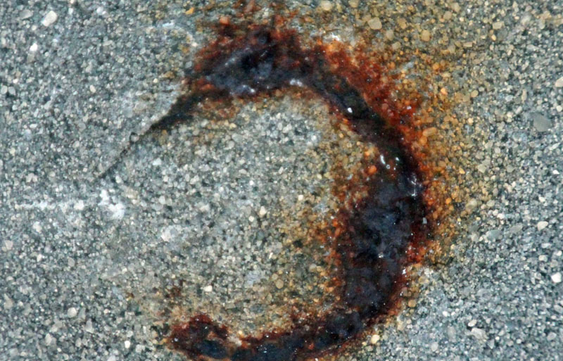 merbaby photo by Clare Dygert