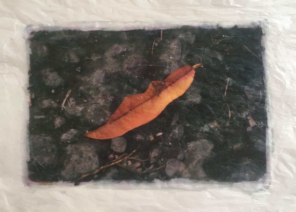 Golden ticket 48699494582 o