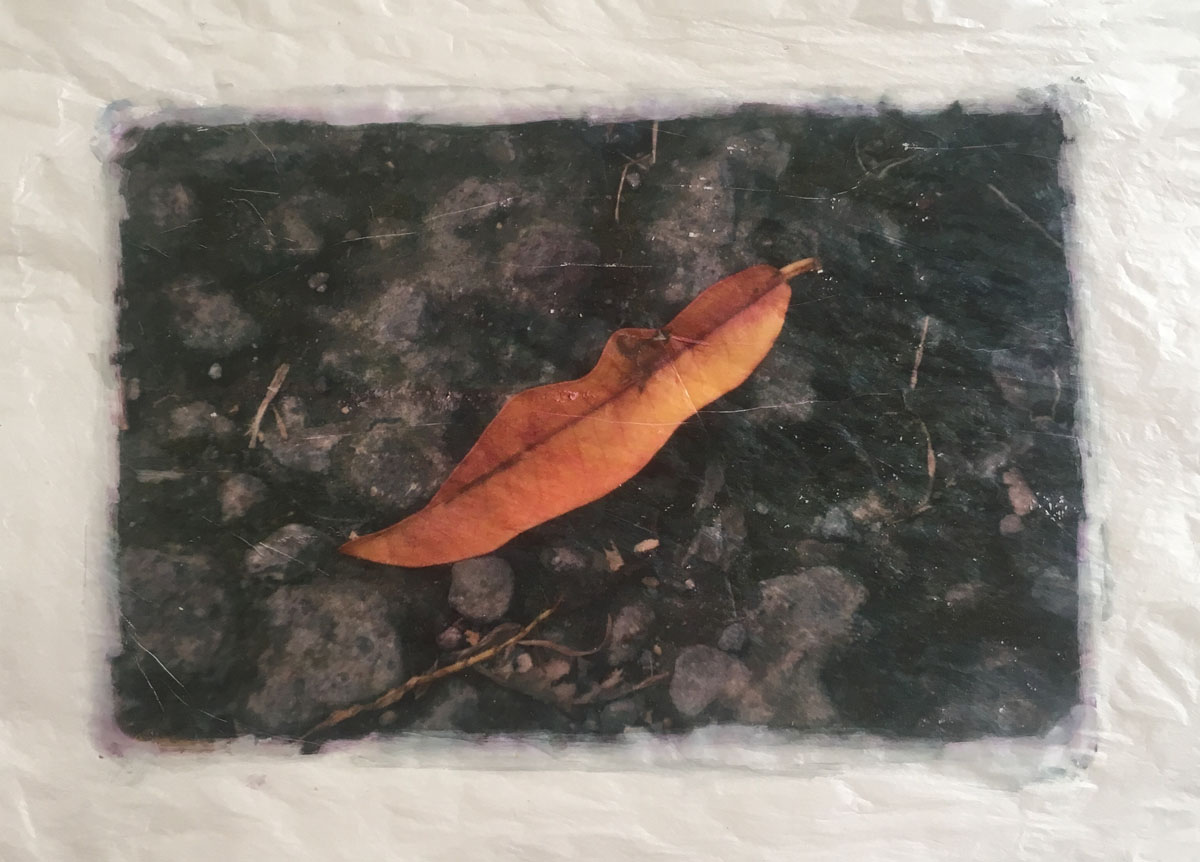 Golden ticket 48699494582 o