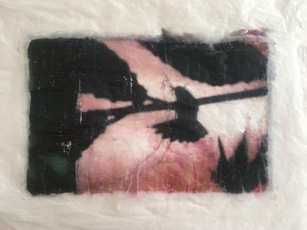 Hummingbird 48699076951 o