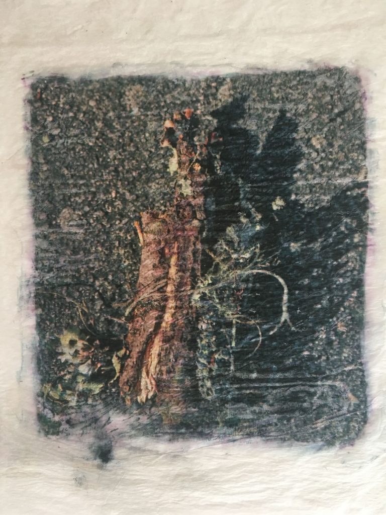 Medicine bundle 48698926518 o