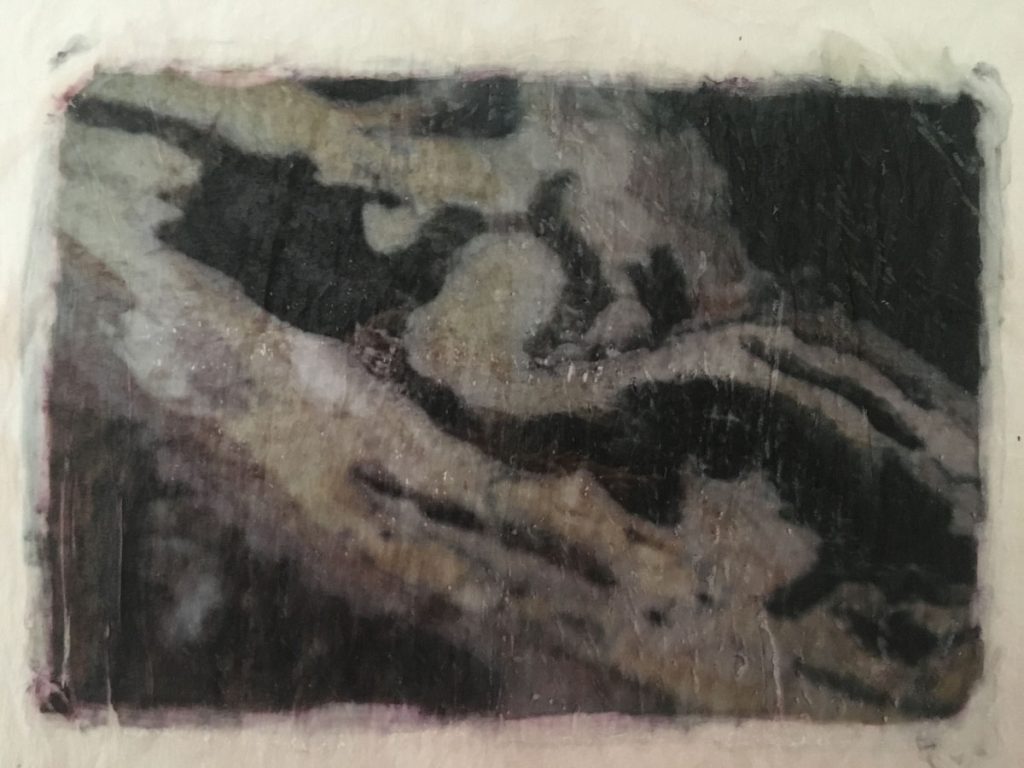 Secret message 48324795432 o