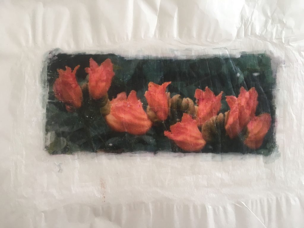 Tongues of fire 48699305976 o